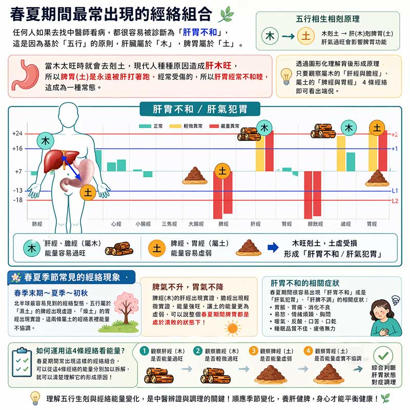 春夏季節常見的經絡現象，容易出現肝胃不和