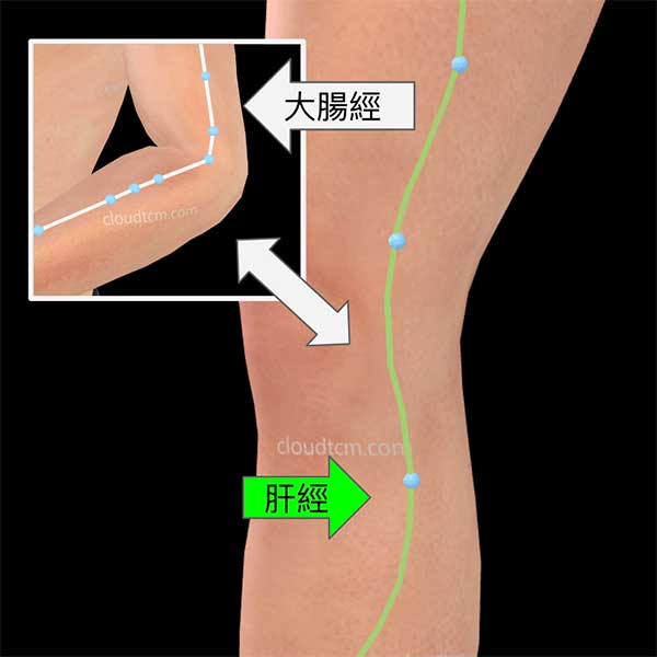 手陽明大腸經