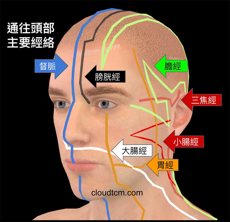 通往頭部的主要經絡，看起來很複雜