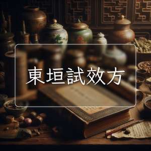 東垣試效方