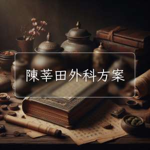 陳莘田外科方案