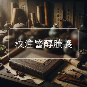 校注醫醇賸義