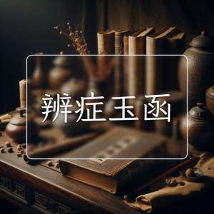 辨症玉函