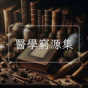 醫學窮源集