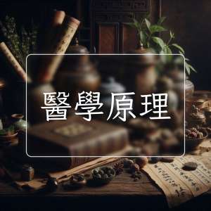 醫學原理