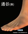 足通谷