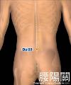 腰陽關