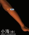 小海