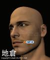地倉
