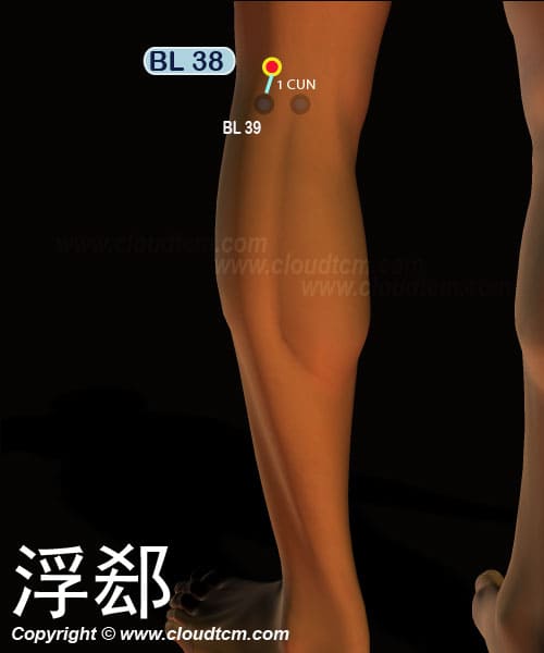 浮郄