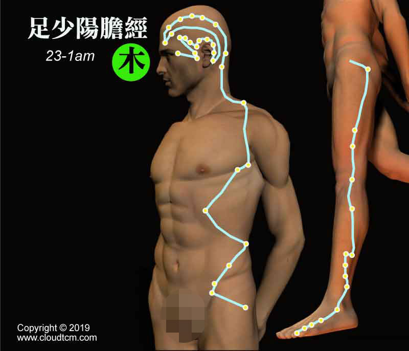 懶人居家針灸法:運用「低週波電療」快速疏通膽經