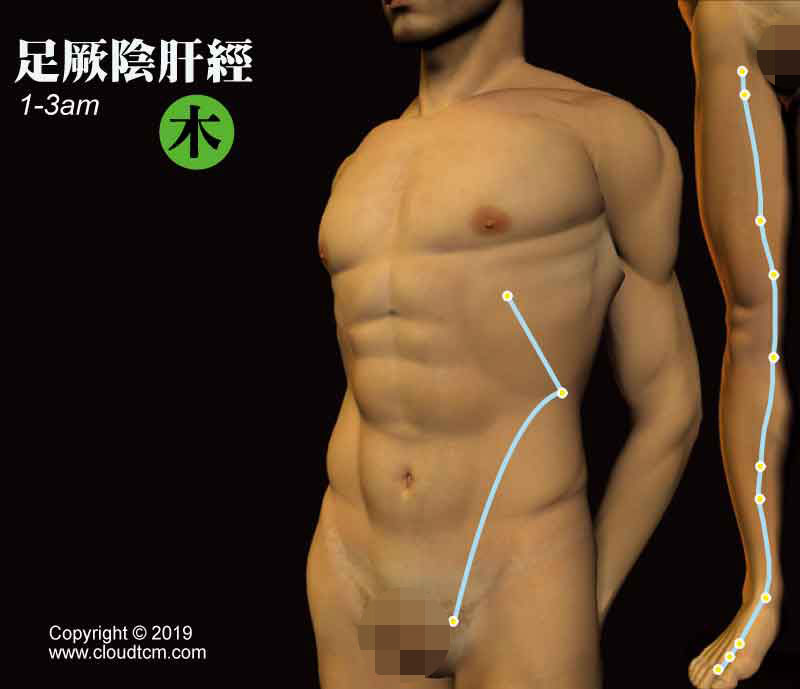 懶人居家針灸法:運用「低週波電療」快速疏通肝經