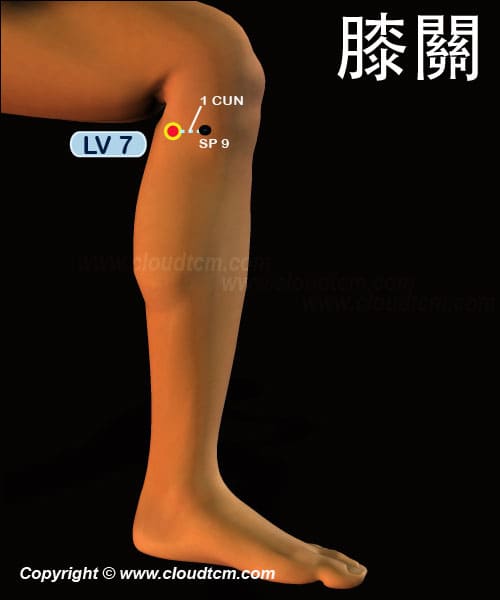 膝關