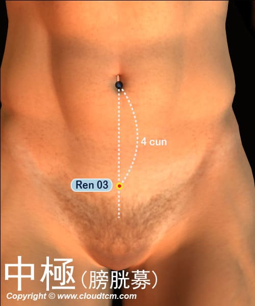 中極