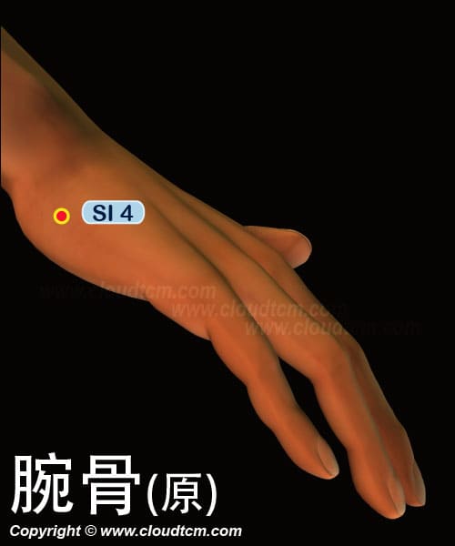 腕骨