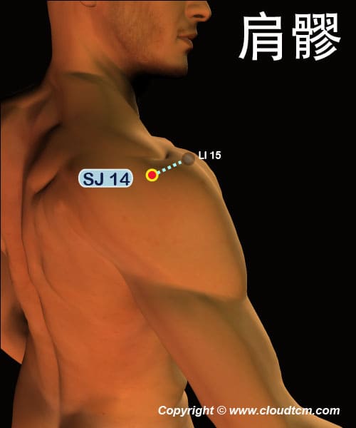 肩髎