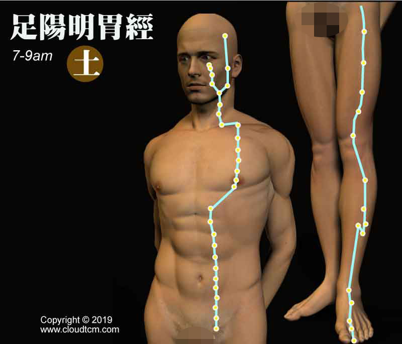 懶人居家針灸法:運用「低週波電療」快速疏通胃經