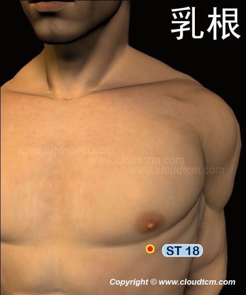 乳根