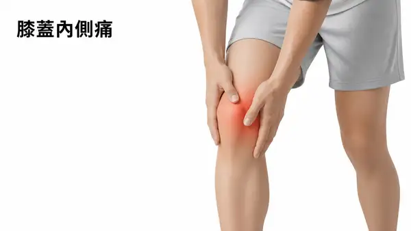 膝蓋內側痛