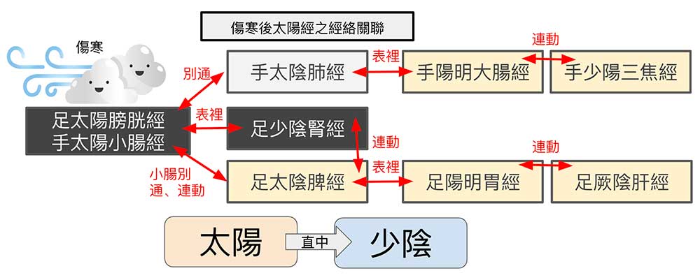 傷寒感冒後，單就太陽經影響的層面就很複雜