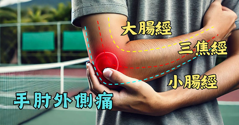 影響手肘外側的經絡，主要是手三陽經