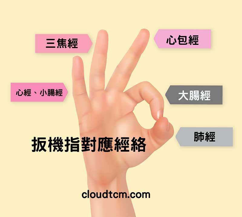 每一個手指的扳機指，都有所屬對應經絡