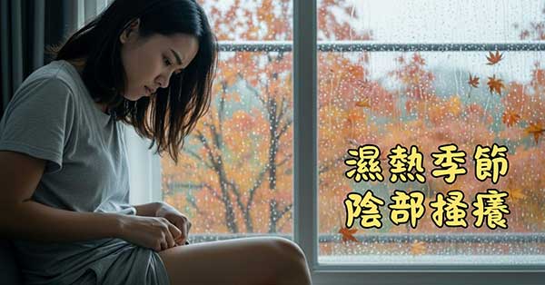 濕熱季節容易造成女性陰部搔癢