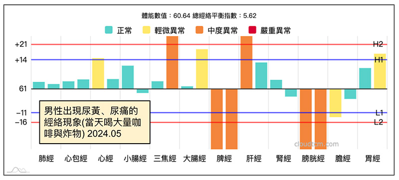 男性大量喝咖啡，吃炸物後，尿黃尿痛的經絡型態