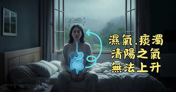 痰濁導致清陽之氣無法上升，造成頭昏