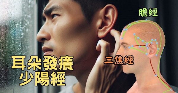 耳朵發癢與少陽經(膽經、三焦經)密切相關
