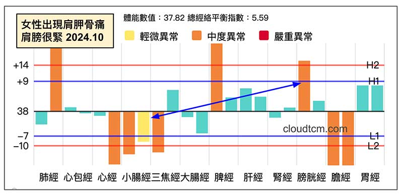 女性出現肩胛骨痛，肩膀很緊的經絡型態