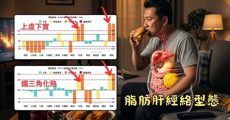 脂肪肝最常見的兩種經絡型態