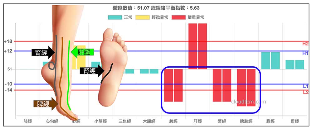 容易出現足弓痛的經絡型態