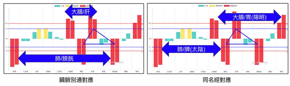 現代人常見的經絡體質，全部對應反應在肺經與大腸經上