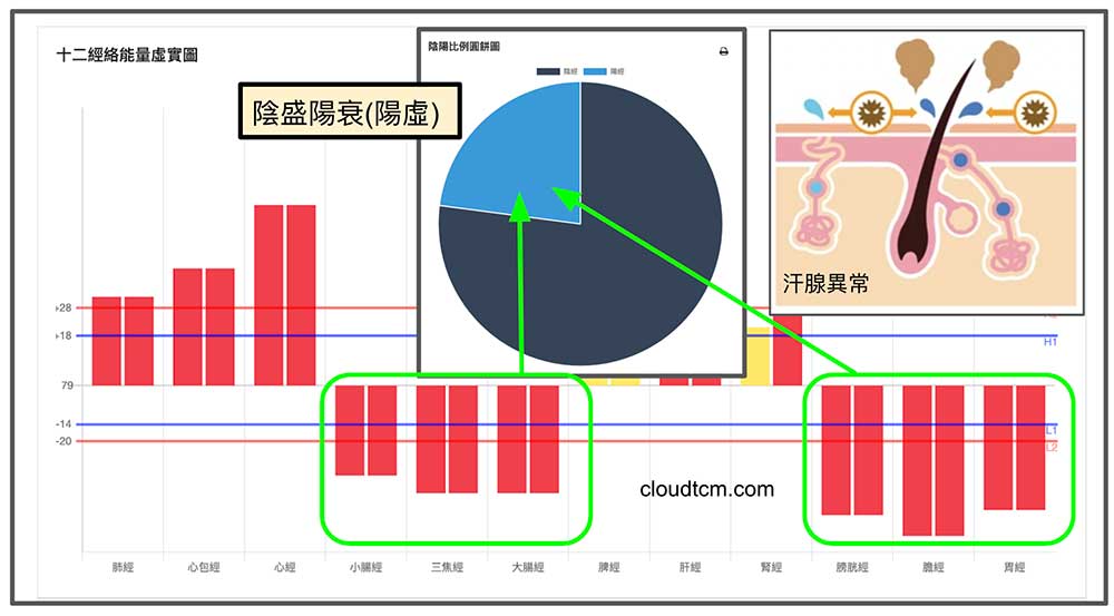 經絡體質陽虛，汗腺異常