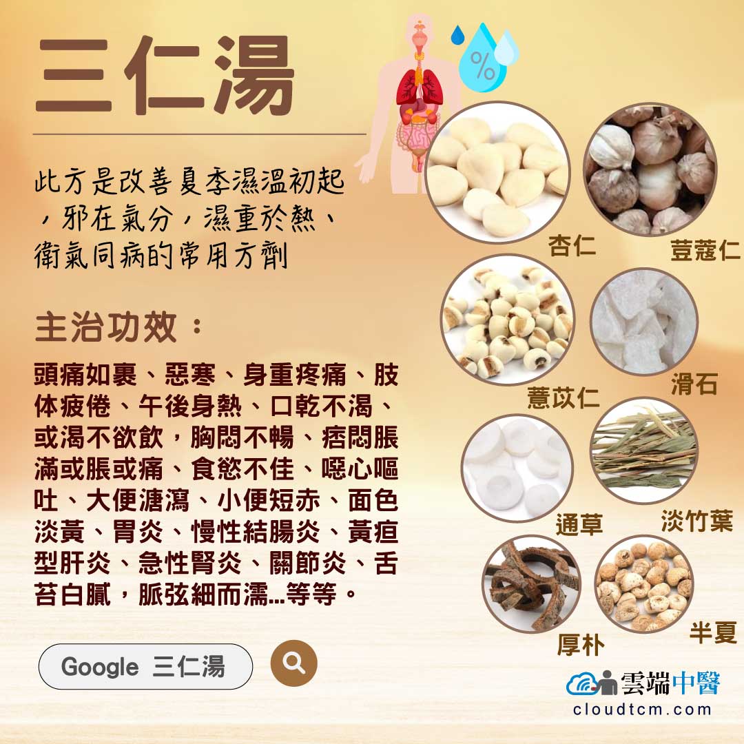 三仁湯