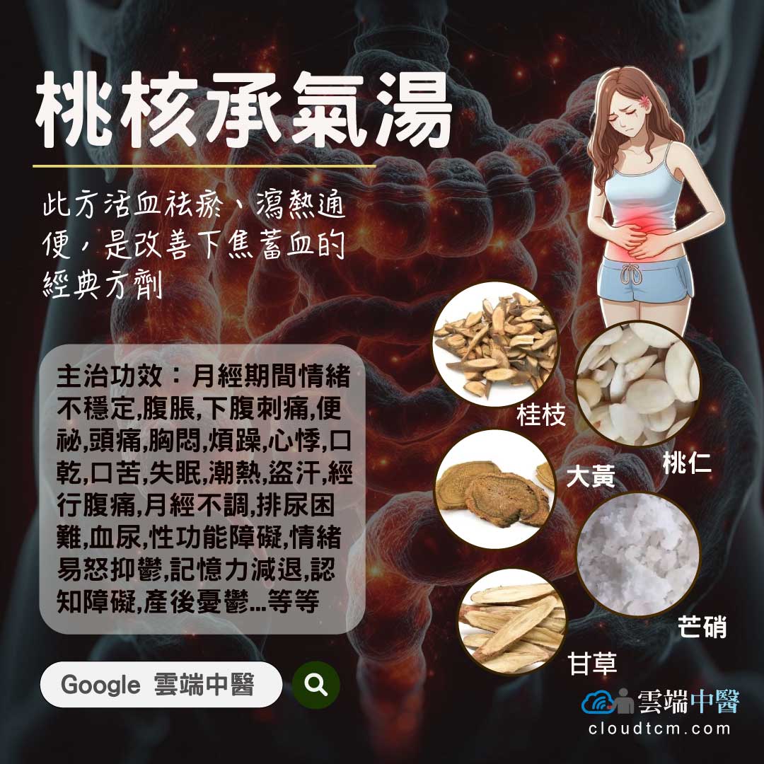 桃核承氣湯