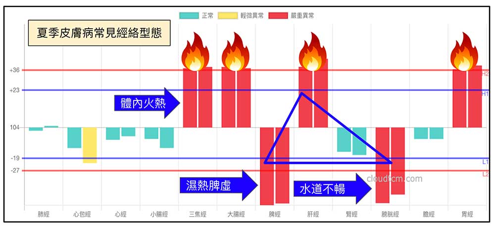 夏季常見的經絡型態，很容易出現皮膚病
