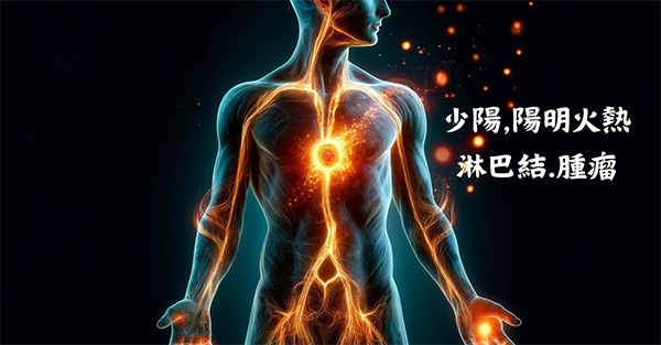 散腫潰堅湯改善少陽經、陽明經化熱之腫瘤