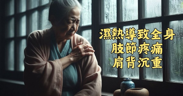 濕熱導致全身肢節疼痛，肩背沉重