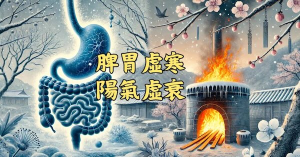 脾胃虛寒陽氣虛衰時，需要火熱中藥改善