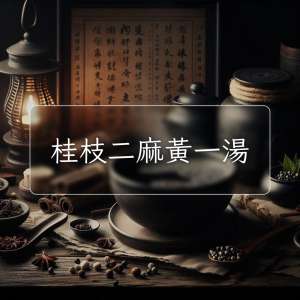 桂枝二麻黃一湯