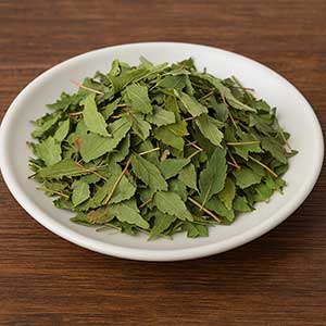 淫羊藿