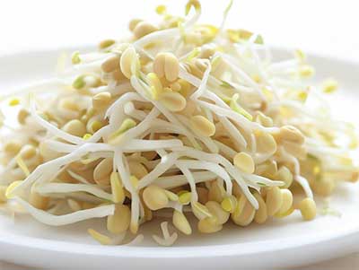 綠豆芽