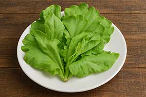 茼蒿