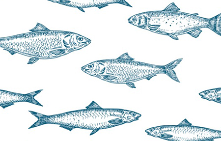 鯉魚鱗
