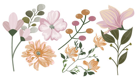 棉花根