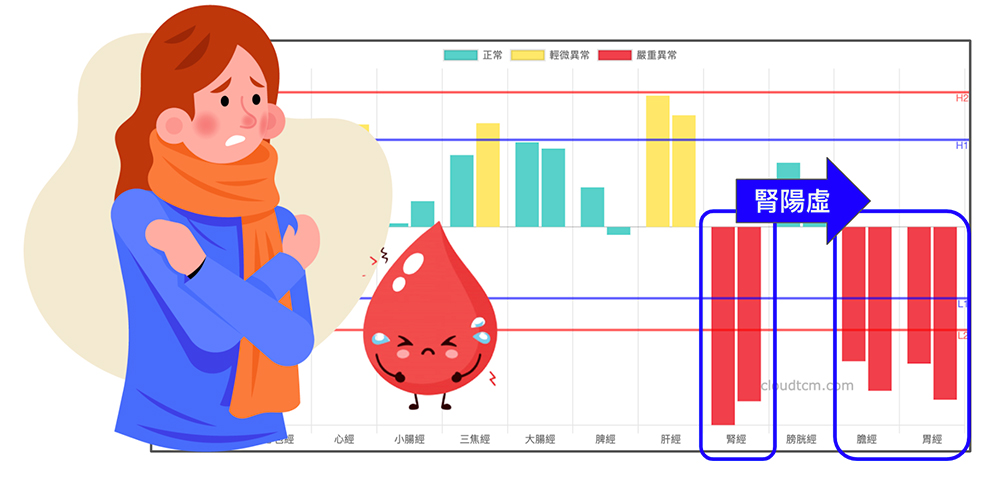 腎陽虛的女性，容易出現月經不調