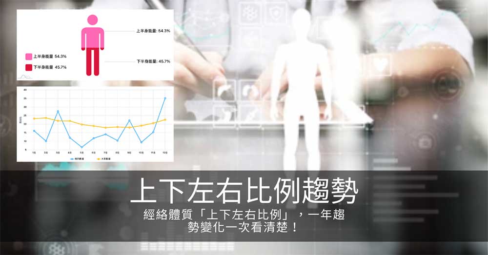 經絡體質「上下左右比例」,一年趨勢變化一次看清楚!