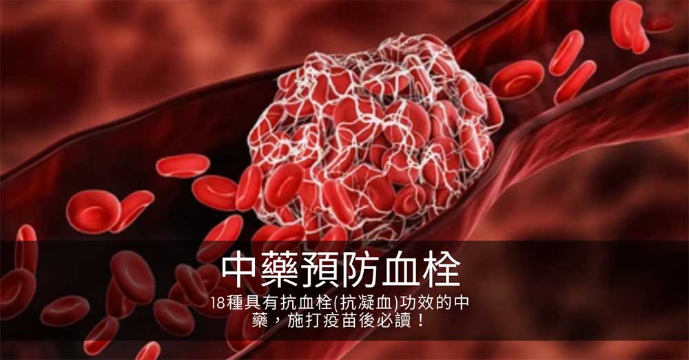 18種具有抗血栓(抗凝血)功效的中藥,施打疫苗後必讀!